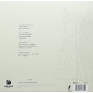 A POCKET OF WIND RESISTANCE