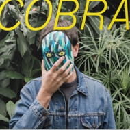 COBRA