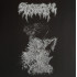 NECROTIC DEMOS