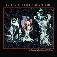 A TOPOGRAPHY OF LUCID CONFUSION