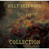 COLLECTION