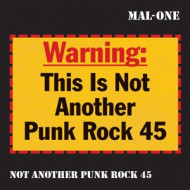 7-NOT ANOTHER PUNK ROCK 45