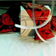 RED BROCADE