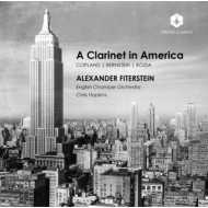 A CLARINET IN AMERICA