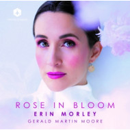ROSE IN BLOOM