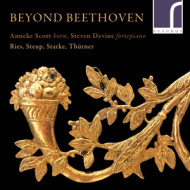 BEYOND BEETHOVEN, RIES, STEUP, STARKE