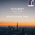 SCHUBERT PIANO TRIOS VOLUME 1
