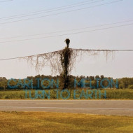 TURN TO EARTH