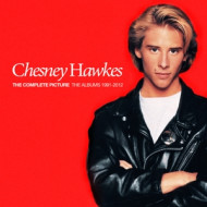 COMPLETE PICTURE - THE ALBUMS 1991-2012