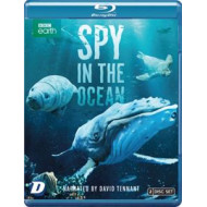 SPY IN THE OCEAN