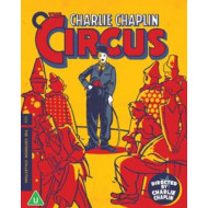 THE CIRCUS