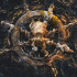 SKULL AND BONES