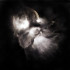 IN A DIM LIGHT