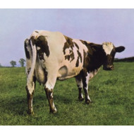 ATOM HEART MOTHER