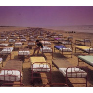 A MOMENTARY LAPSE OF REASON