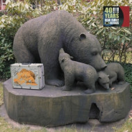 40 YEARS BEAR FAMILY RECORDS