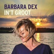 IN 'T GROOT