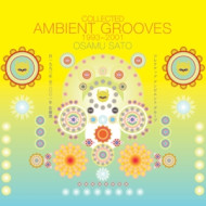 COLLECTED AMBIENT GROOVES 1993-2001