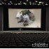 CINEMA SHOW