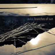 BRANCHES OF SUN