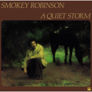 A QUIET STORM