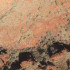 TROPIC OF CAPRICORN