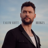 BRIDGES