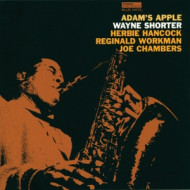 ADAMS APPLE