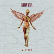 IN UTERO 30TH ANNIVERSARY