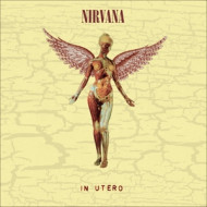 IN UTERO 30TH ANNIVERSARY