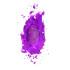 THE PINKPRINT