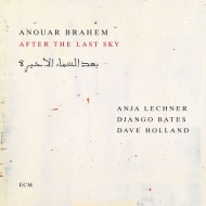 AFTER THE LAST SKY