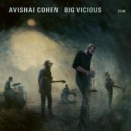 AVISHAI COHEN BIG VICIOUS