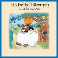 TEA FOR THE TILLERMAN