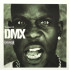 BEST OF DMX