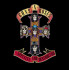 APPETITE FOR DESTRUCTION