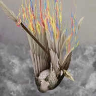 PAPER WINGS