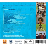 ROUGH GUIDE TO PERU RARE GROOVE