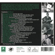 ROUGH GUIDE TO GOSPEL BLUES
