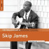 ROUGH GUIDE TO SKIP JAMES