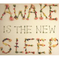 AWAKE IS THE NEW SLEEP