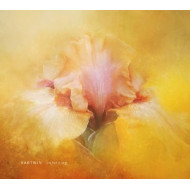 UNFOLDING
