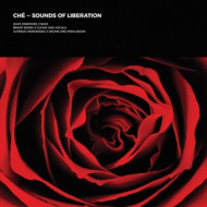 SOUNDS OF LIBERATION