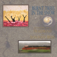 BURNT TREES IN THE SNOW