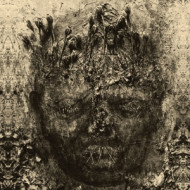RAWSKULLED
