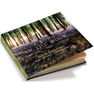 A SONG IN THE WOOD