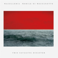 SAVAGING DISASTER