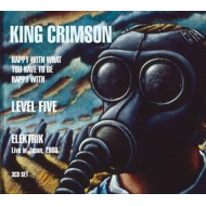 HAPPY WITH WHAT YOU HAVE TO BE HAPPY WITH / LEVEL FIVE / ELEKTRIK