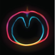 APPLE VENUS VOL. II (WASP STAR)