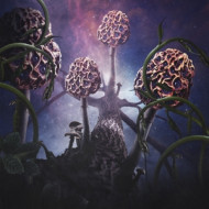 HALLUCINOGEN